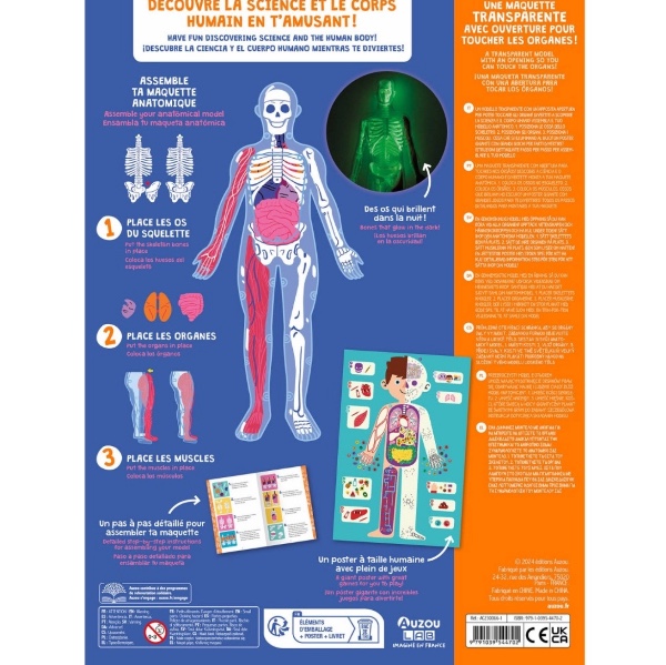 Auzou My Activity Box Set Discovering The Human Body
